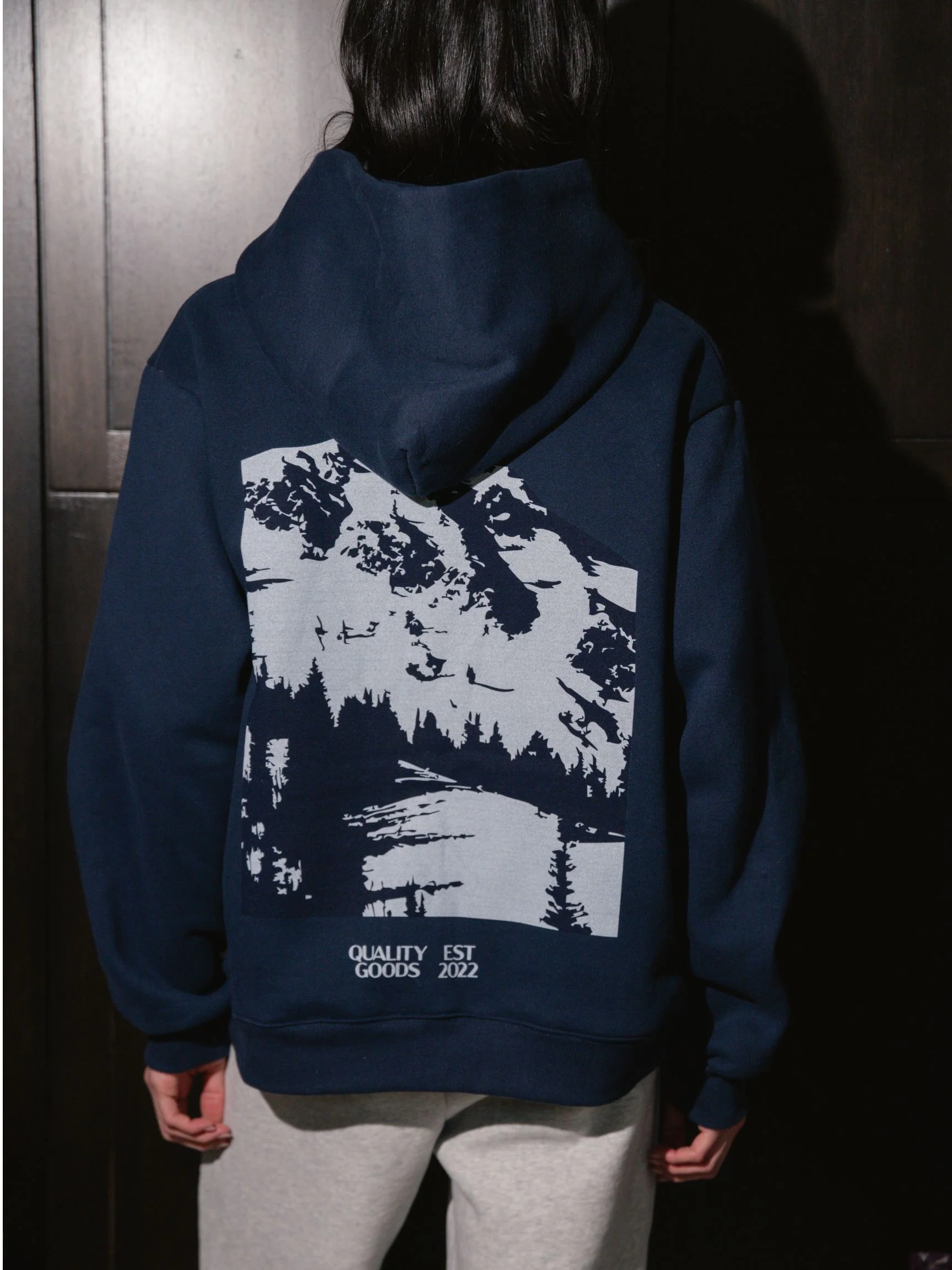 Parke Sport Graphic Hoodie - Shadow - Image 4